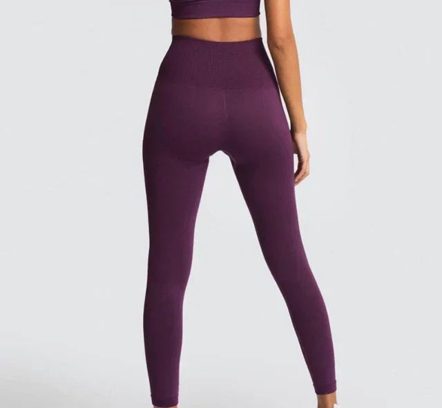 Seamless Gym Yoga Sports Bra and Leggings Running Athletic Workout Clothes Set for Women Wholesale