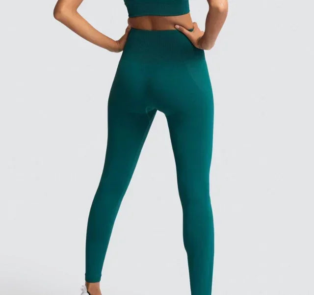 Seamless Gym Yoga Sports Bra and Leggings Running Athletic Workout Clothes Set for Women Wholesale